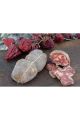 Azienda Agricola Romano Soppressata Bianca Bio ca Gr. 450 prezzo al Kg. 39.50